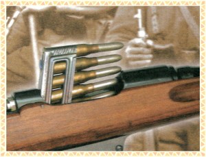 gun mannlicher cover close up