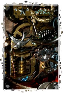 OLYMPUS DIGITAL CAMERA