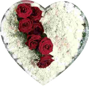 funeral flowers 3 -framed