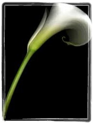 funeral flowers 6-framed