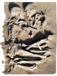 love and death 15-framed