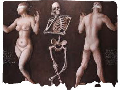 love and death 8-framed