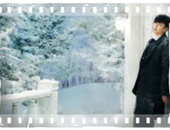 mayerling japanese-15 framed