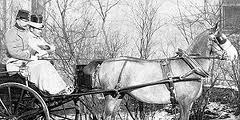 crown-prince-rudolph-last-week-in-vienna rudolph carriage