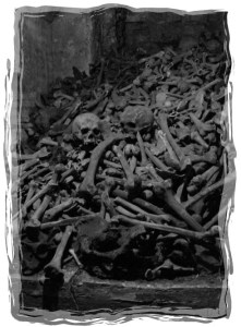 empire vienna what if-