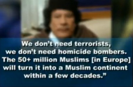 migrant demographics1vi-vi