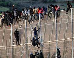 migrants fense