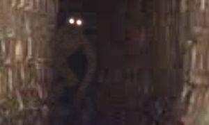 sewer-creature